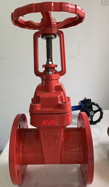Van cổng ty nổi DN100