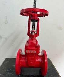 Van cổng ty nổi DN80