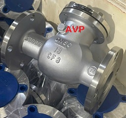 Van một chiều lá lật inox DN50